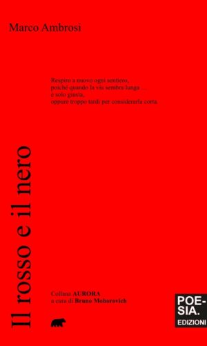 il rosso e il nero