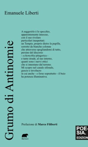 grumo di antinomie