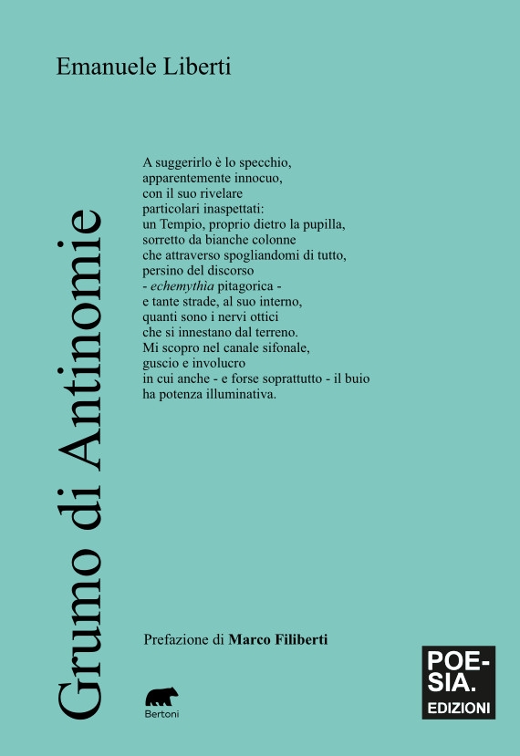 grumo di antinomie grumo di antinomie