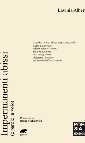 impermanenti abissi