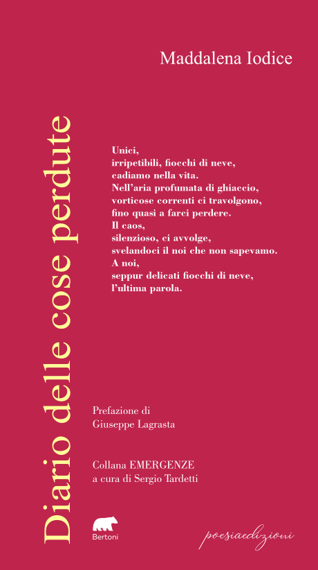 diario delle cose perdute diario delle cose perdute