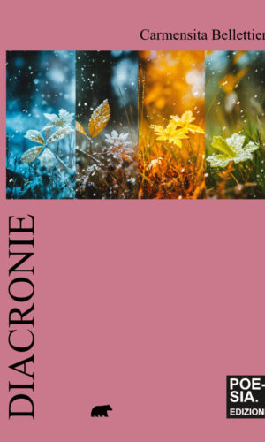 copertina diacronie