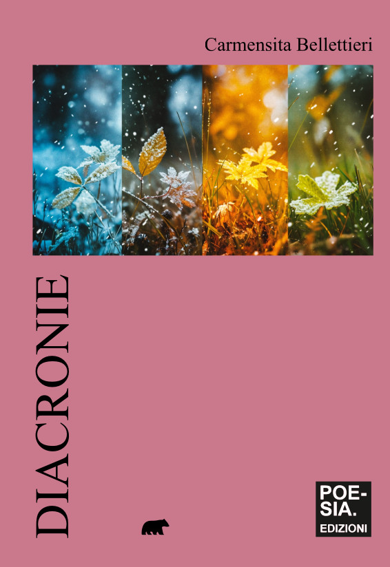 copertina diacronie copertina diacronie