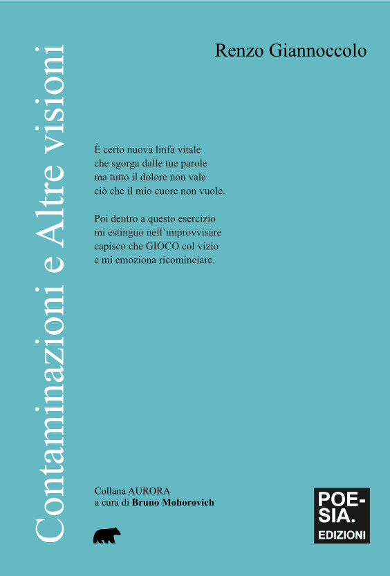 copertina contaminazioni e altre visioni giannoccolo renzo copertina contaminazioni e altre visioni giannoccolo renzo