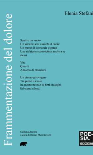 copertina frammentazione del dolore stefani elenia