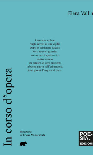 copertina in corso d'opera