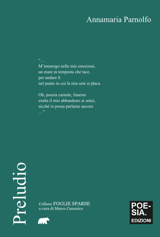 copertina preludio parnolfo annamaria copertina preludio parnolfo annamaria